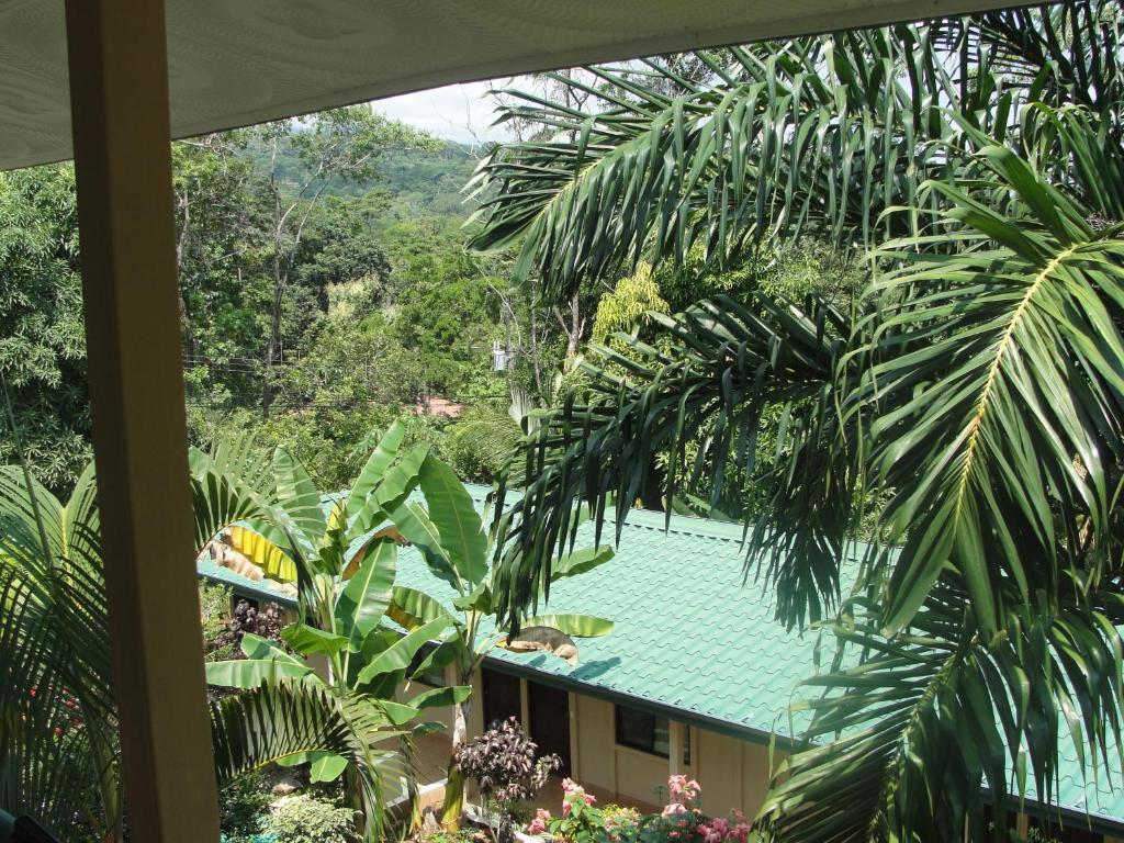 Big Bamboo De أوفيتا الغرفة الصورة