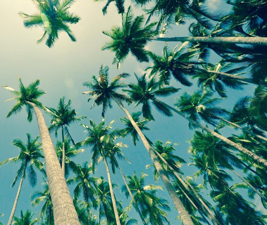 Big Bamboo De أوفيتا المظهر الخارجي الصورة