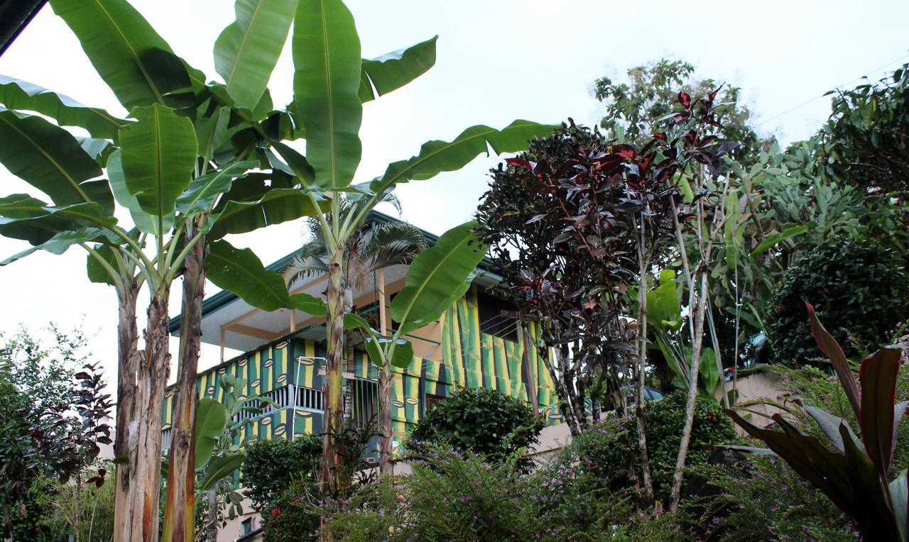 Big Bamboo De أوفيتا المظهر الخارجي الصورة